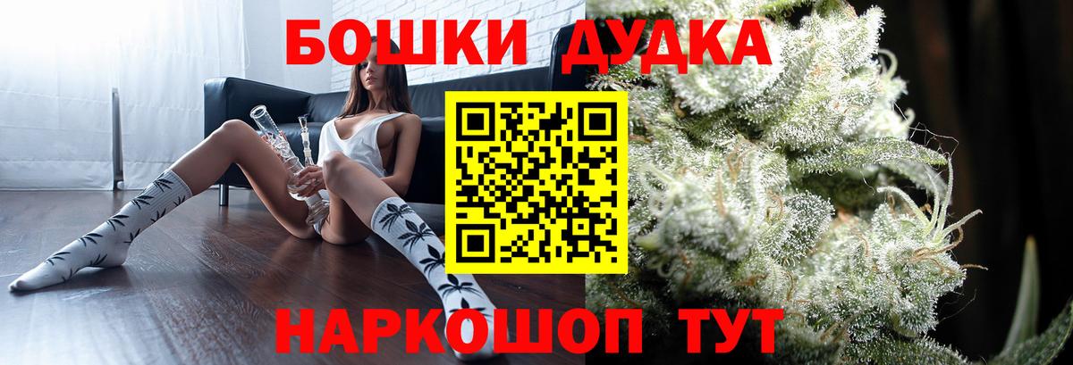 Бошки Шишки план Северск